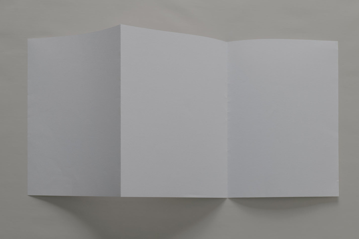 Paper 01 Poster 05 Photo Mockup