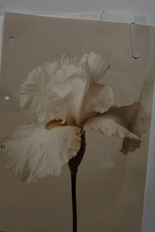 Collage 01 Punched Paper 02 Photo Mockup