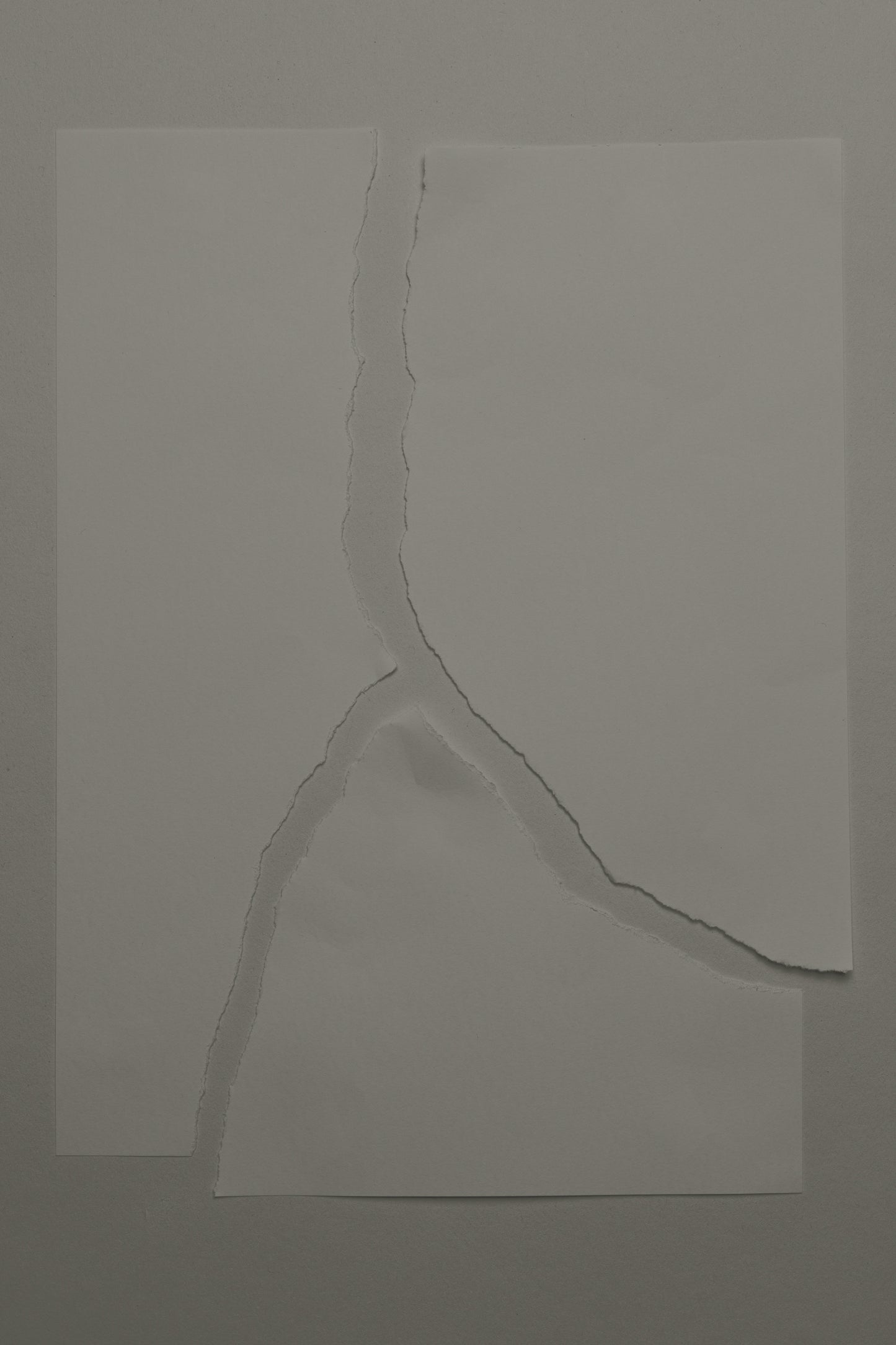 Collage 01 Montage 03 Photo Mockup