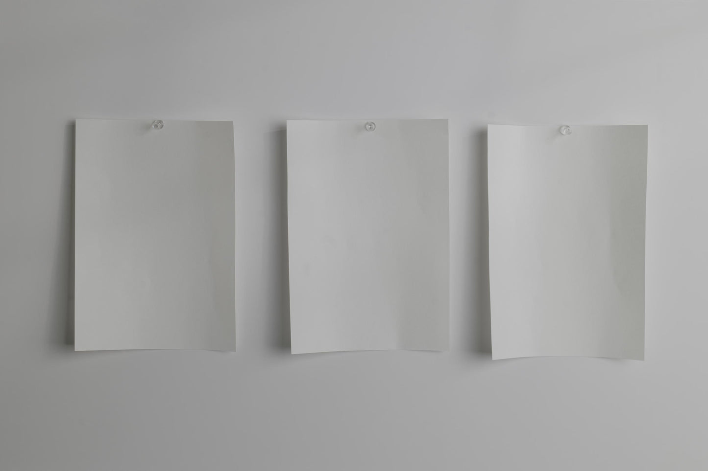Paper 01 Mood Board 02 Photo Mockup