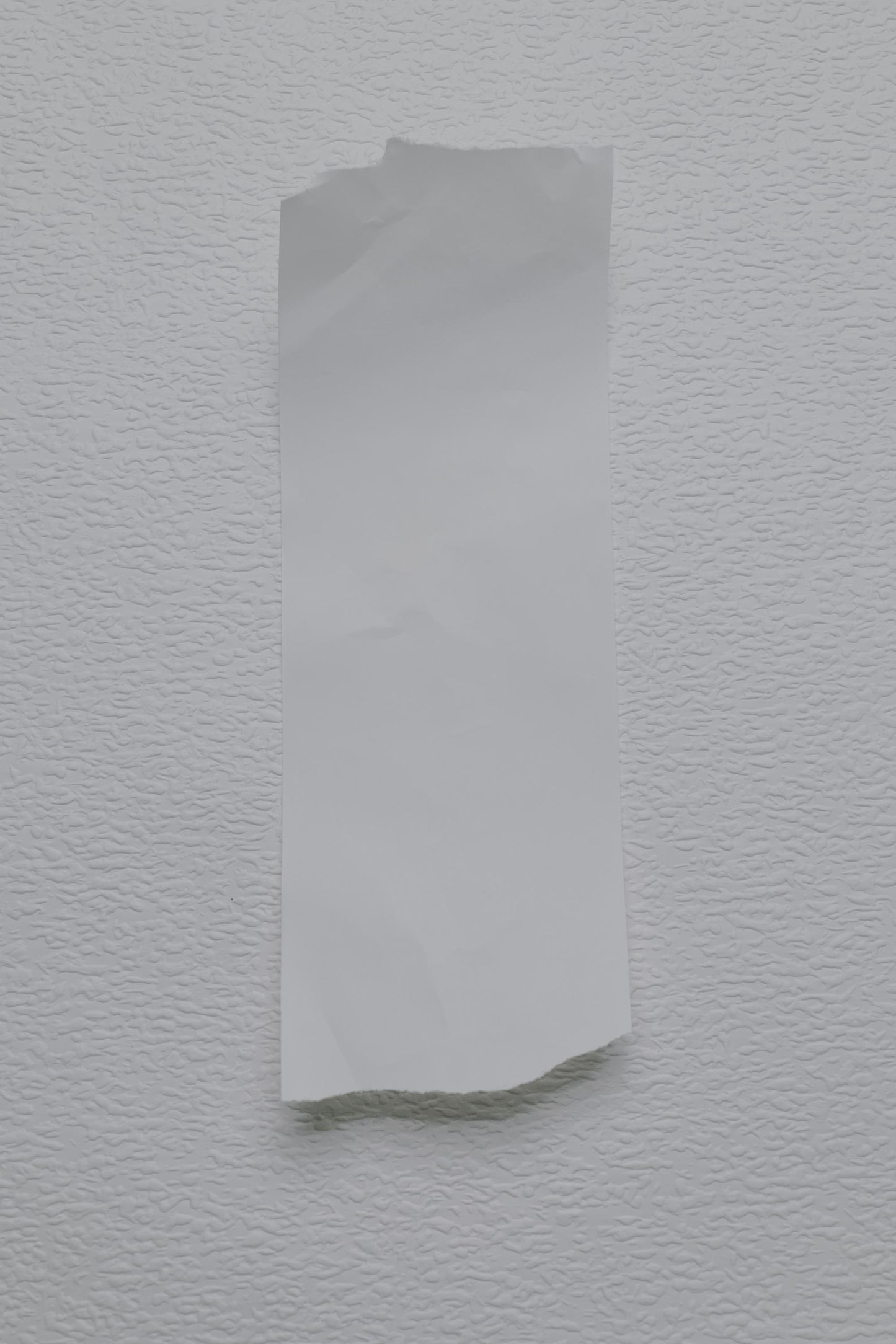 Paper 01 Receipt 02 Photo Mockup