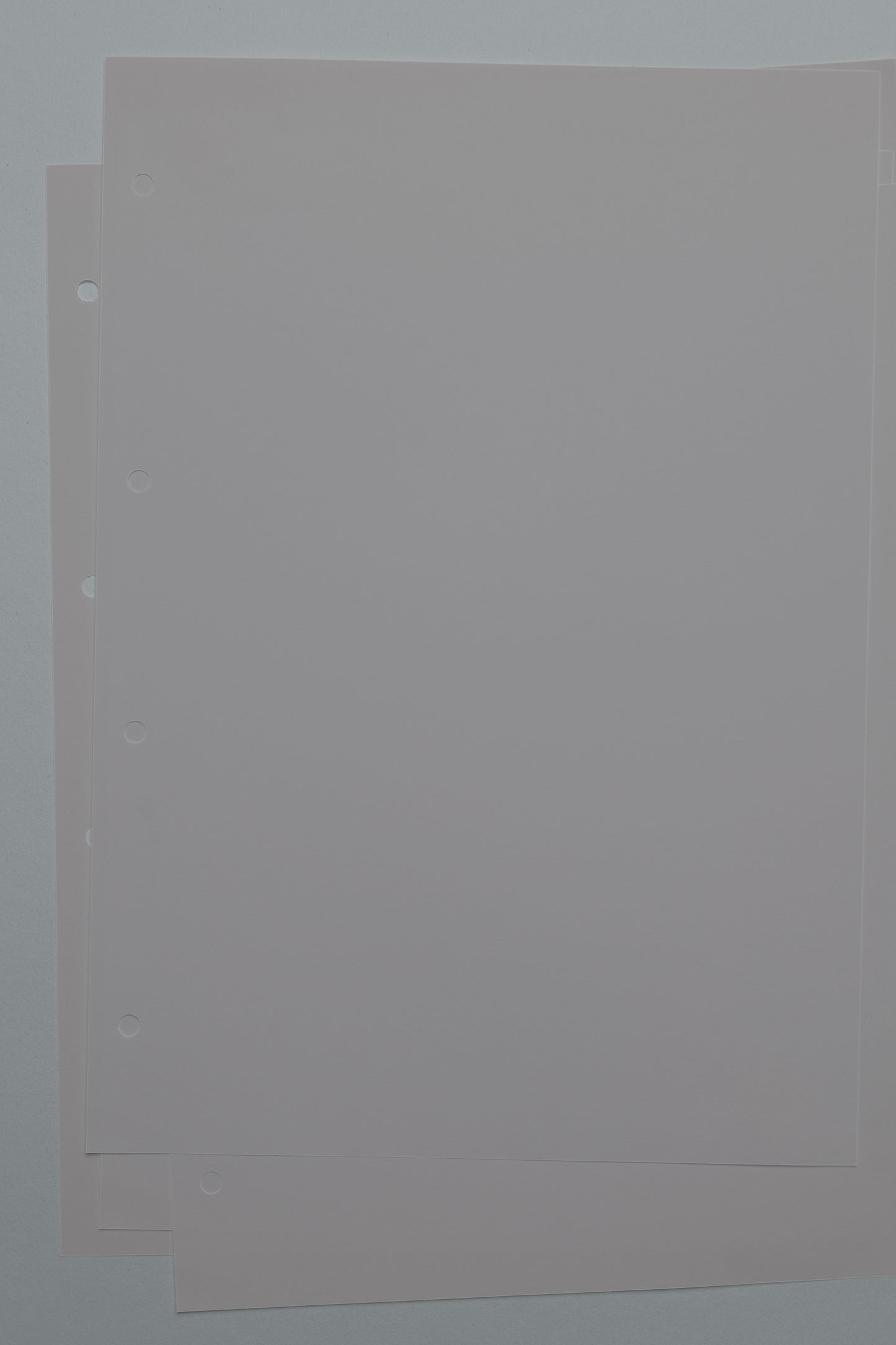 Collage 01 Punched Paper 01 Photo Mockup